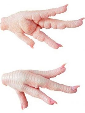 Import Halal Frozen Chicken Paws